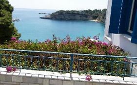 Pansion Panorama